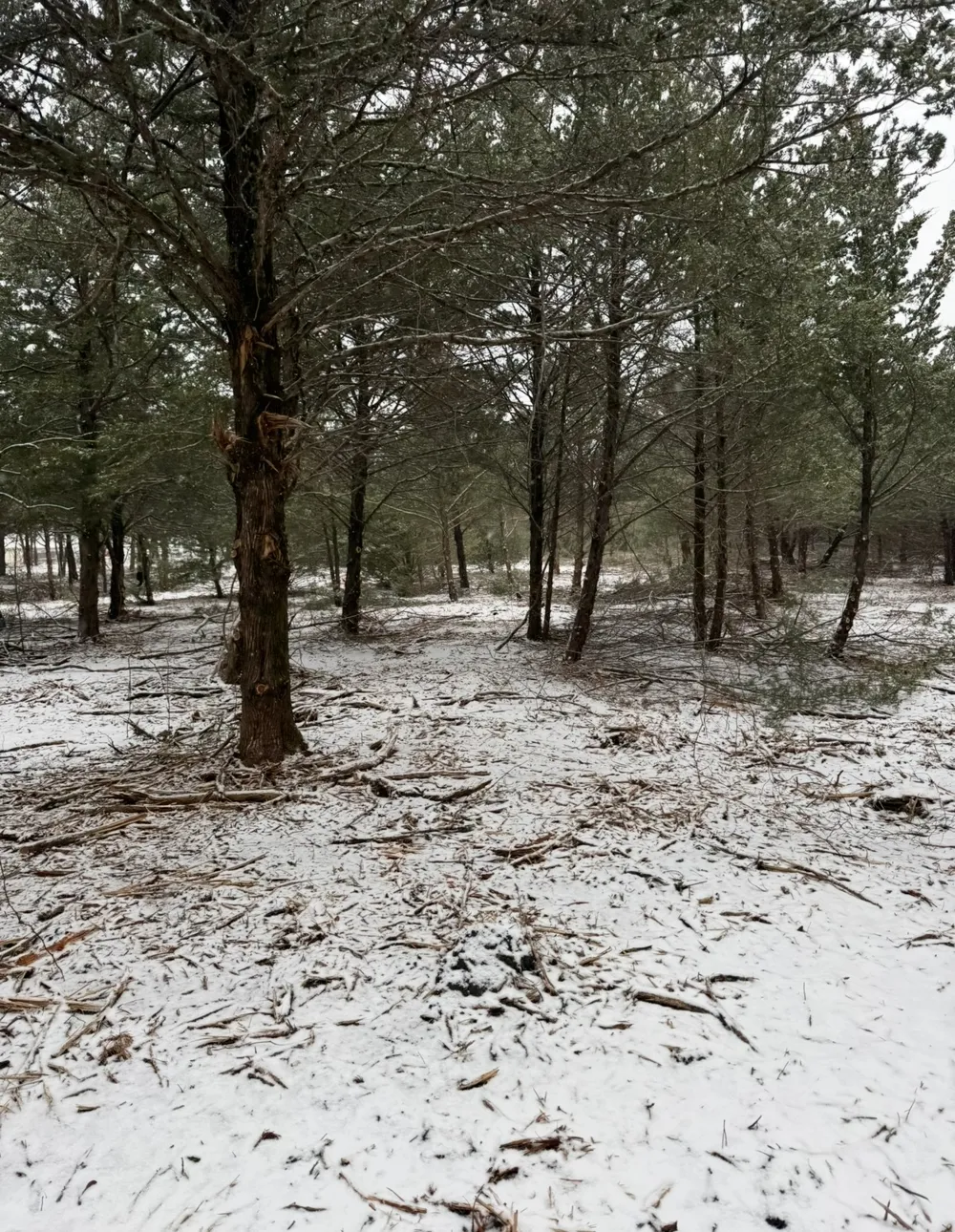 1843 County Road 2140 Caddo Mills, TX 75135