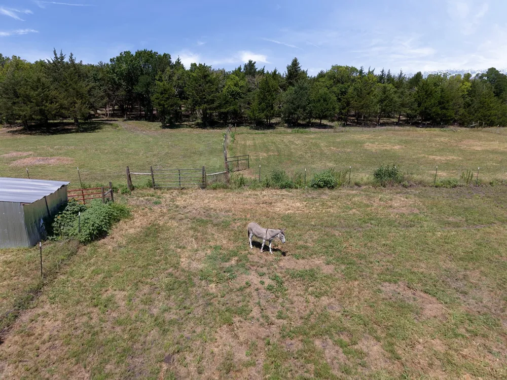 1843 County Road 2140 Caddo Mills, TX 75135