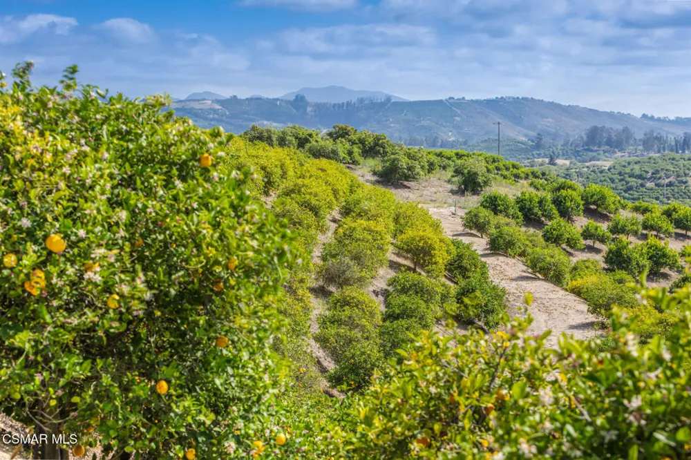 7169 Maria Drive Moorpark, CA 93021