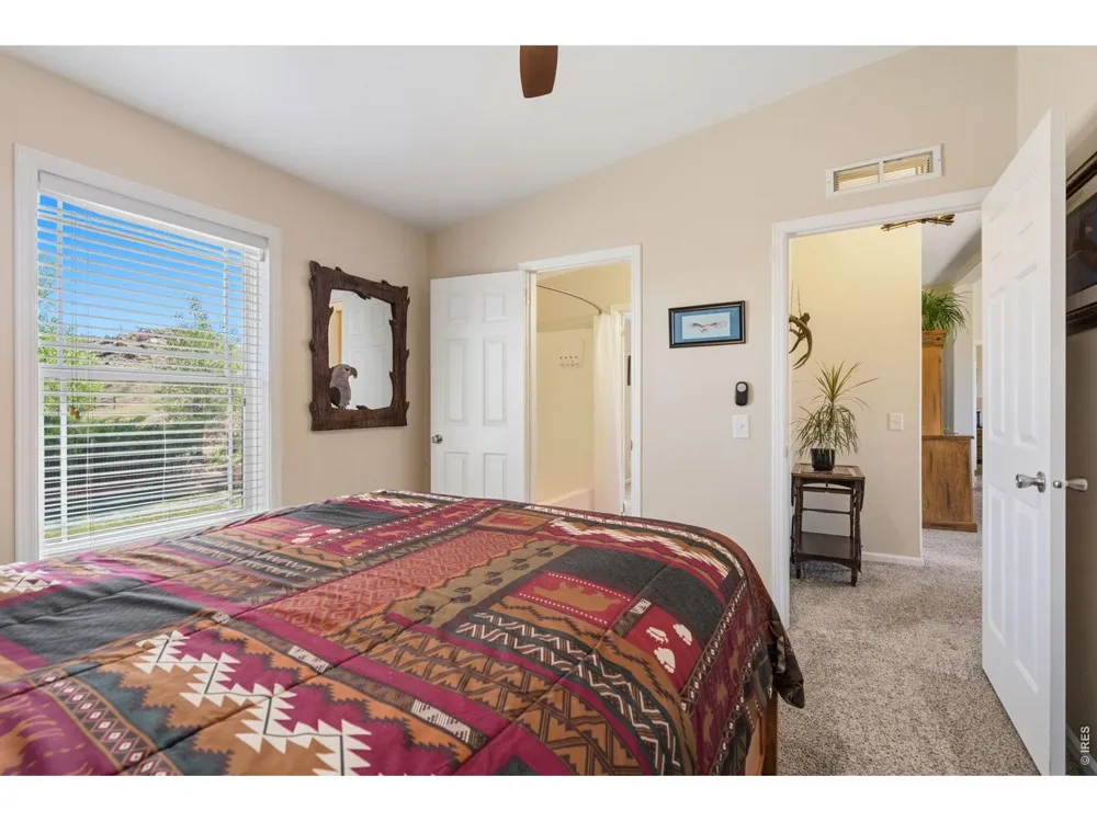 572 Horse Mountain Drive Livermore, CO 80536