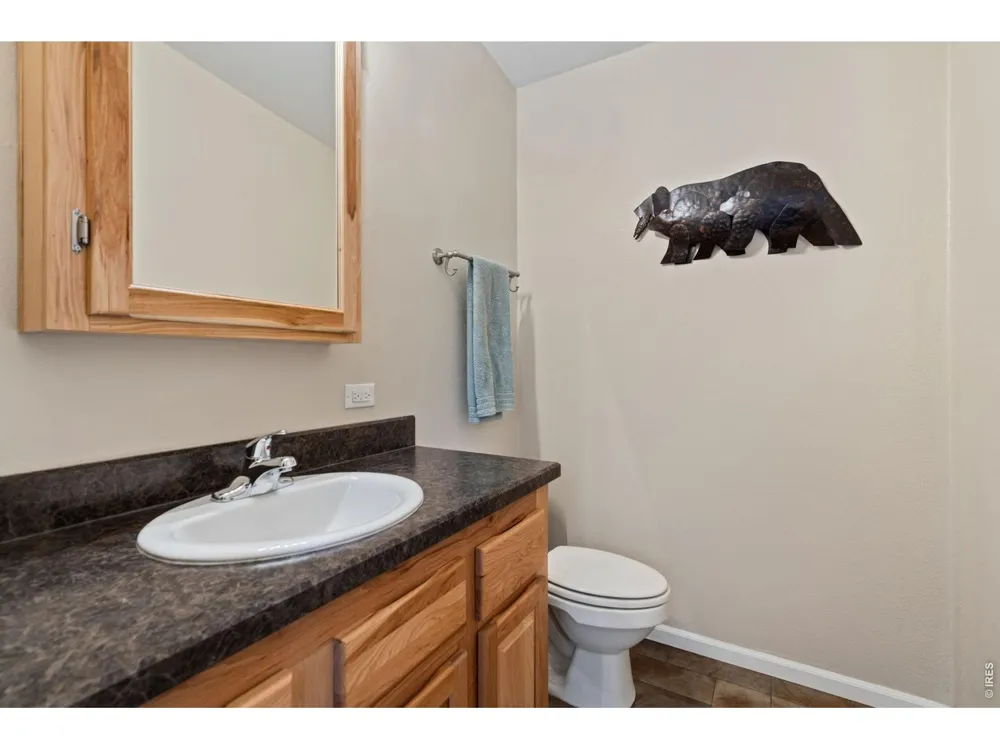 572 Horse Mountain Drive Livermore, CO 80536