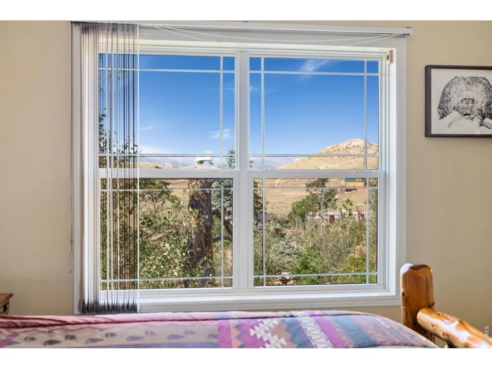 572 Horse Mountain Drive Livermore, CO 80536