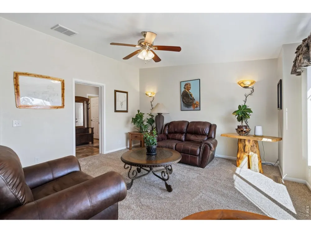 572 Horse Mountain Drive Livermore, CO 80536