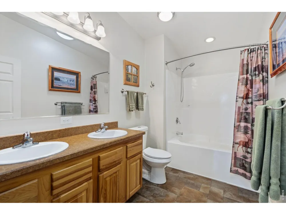 572 Horse Mountain Drive Livermore, CO 80536