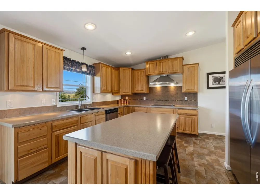 572 Horse Mountain Drive Livermore, CO 80536