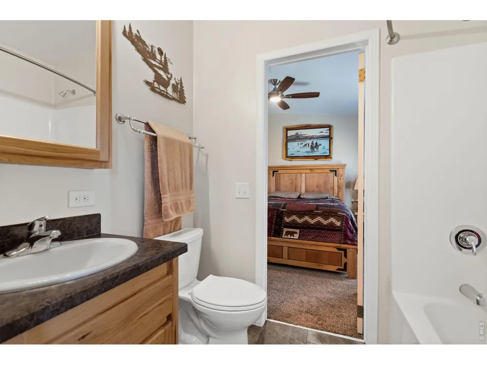 572 Horse Mountain Drive Livermore, CO 80536