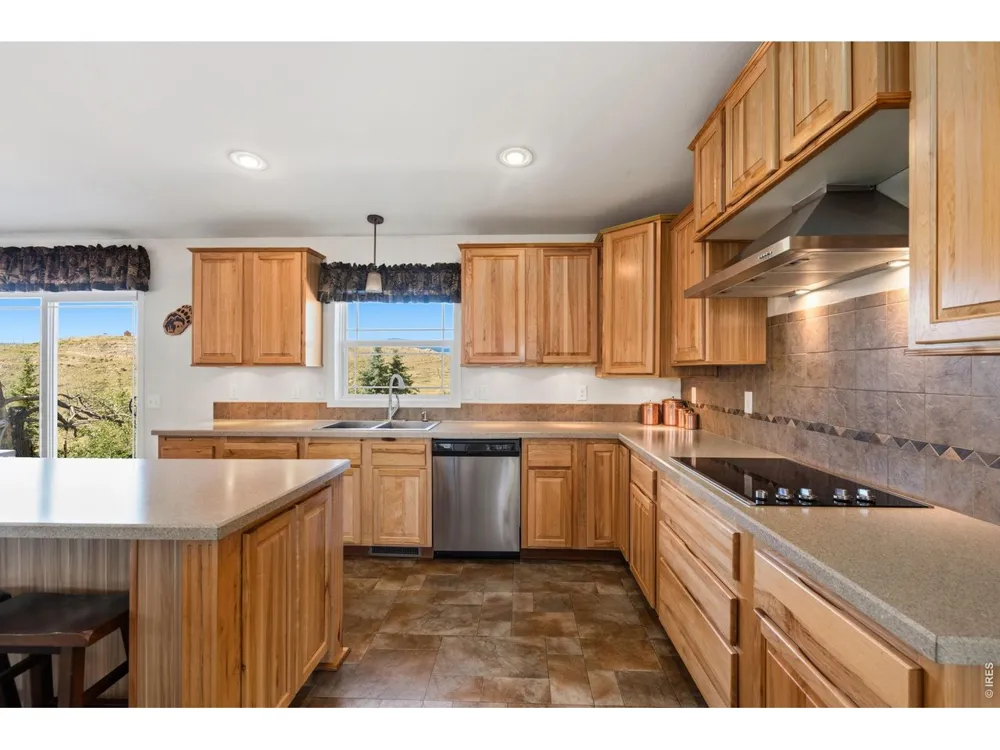 572 Horse Mountain Drive Livermore, CO 80536