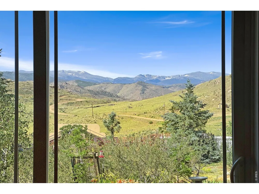 572 Horse Mountain Drive Livermore, CO 80536
