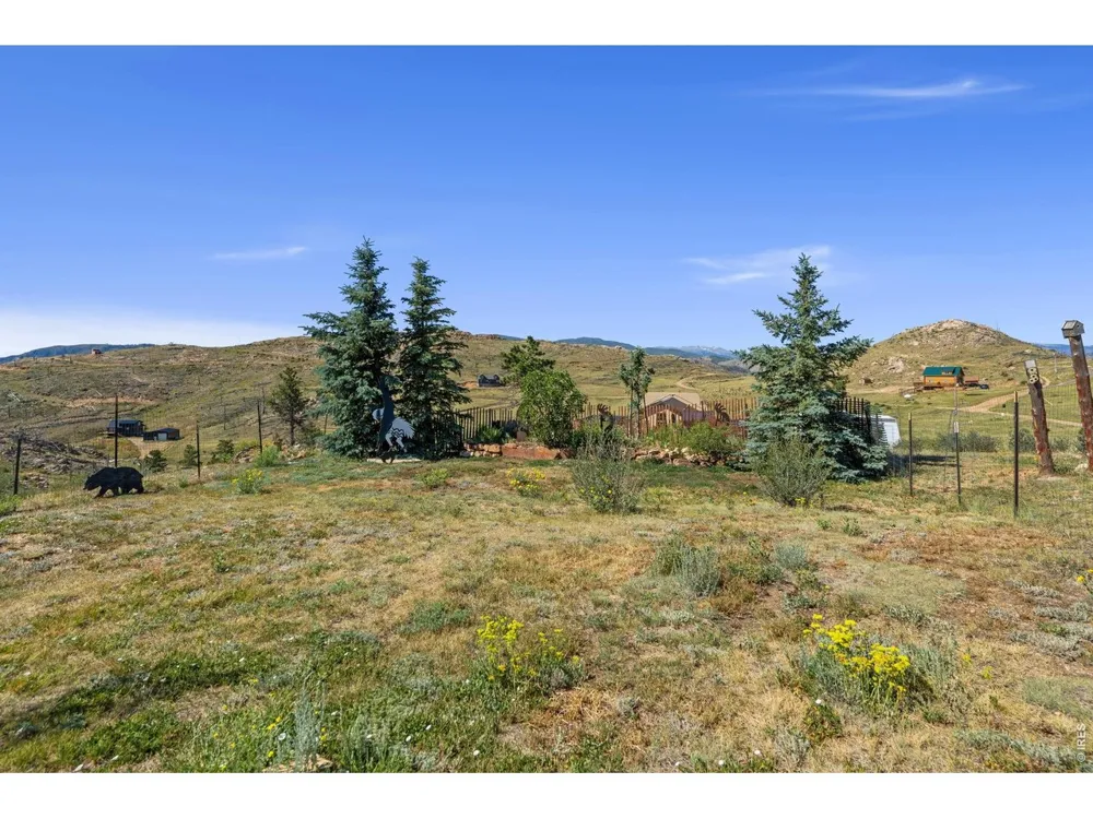 572 Horse Mountain Drive Livermore, CO 80536