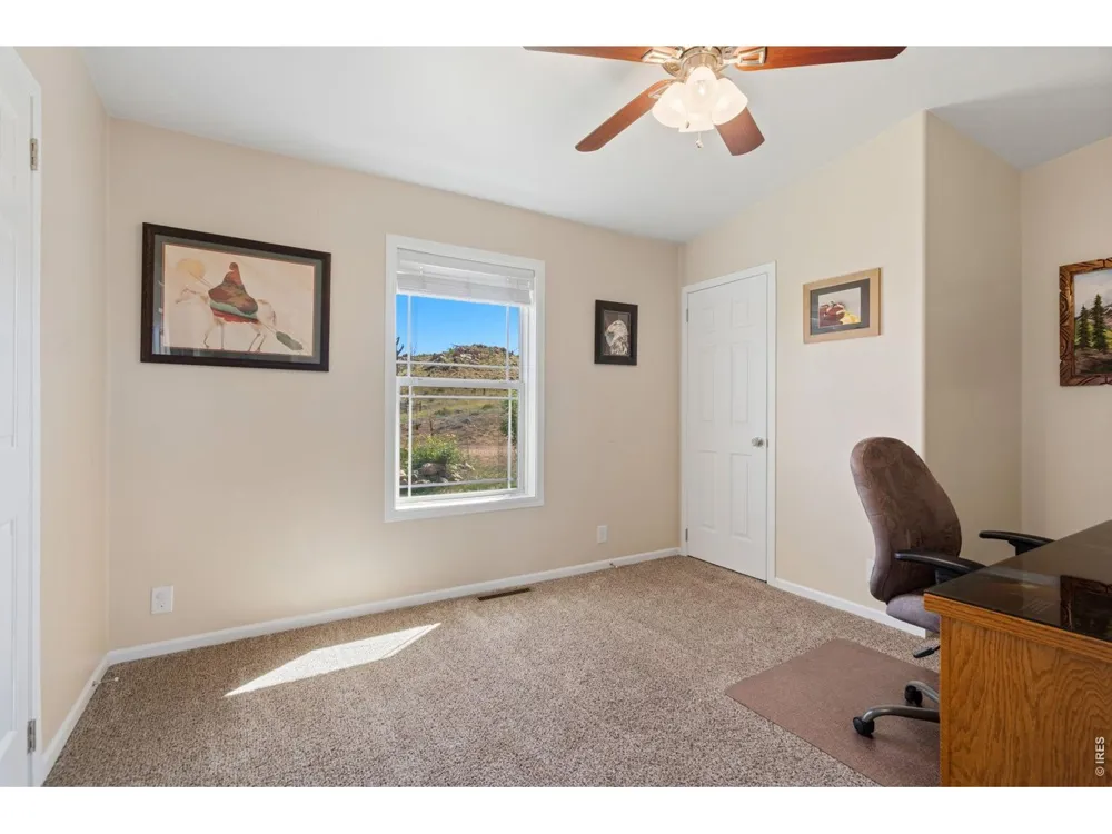 572 Horse Mountain Drive Livermore, CO 80536