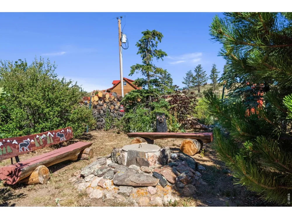 572 Horse Mountain Drive Livermore, CO 80536