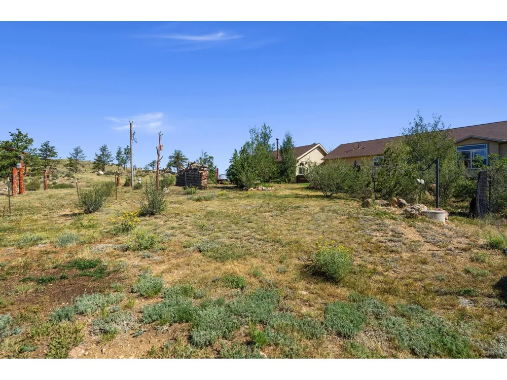 572 Horse Mountain Drive Livermore, CO 80536