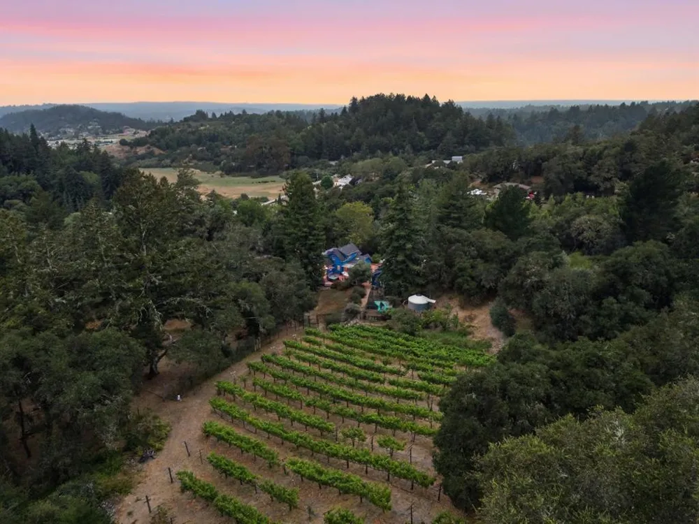 359 Canham Road Scotts Valley, CA 95066
