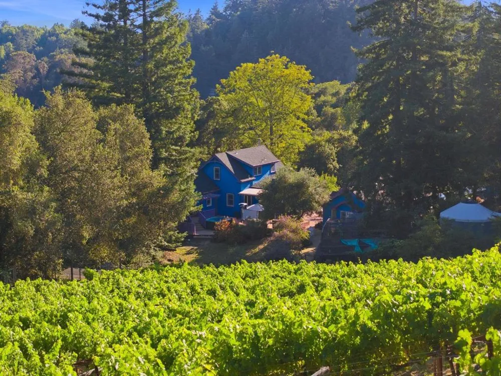359 Canham Road Scotts Valley, CA 95066