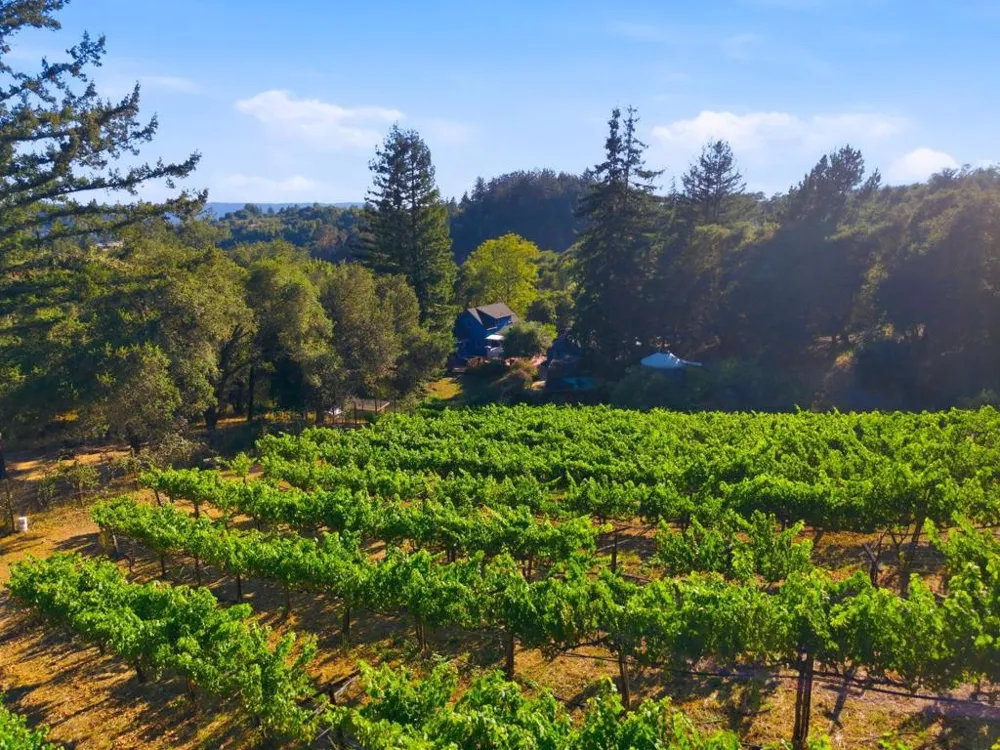 359 Canham Road Scotts Valley, CA 95066