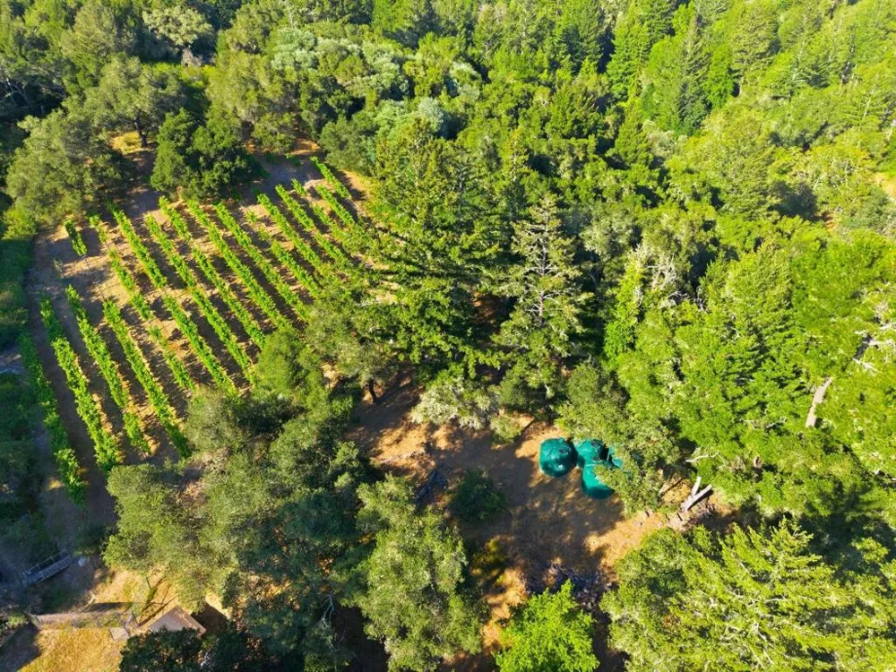 359 Canham Road Scotts Valley, CA 95066