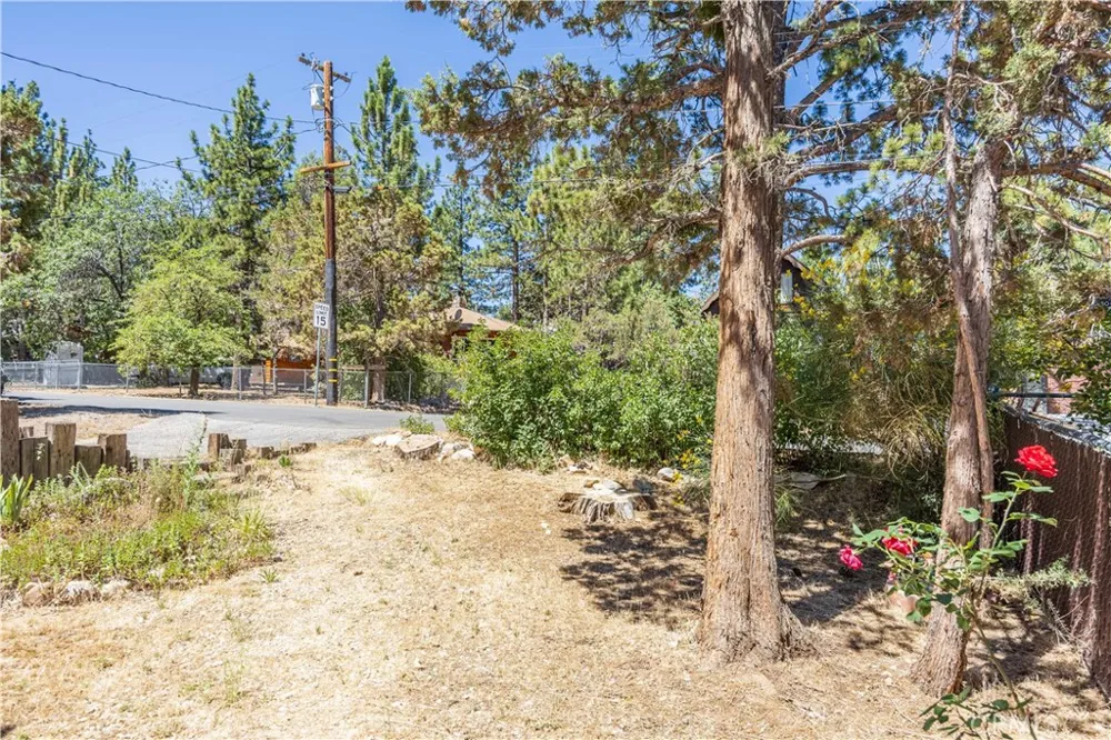 133 Holmes Lane Sugarloaf, CA 92386