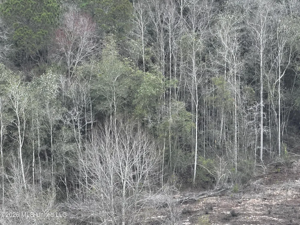 Oscar Bell Road Waynesboro, MS 39367