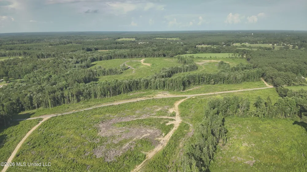 Oscar Bell Road Waynesboro, MS 39367