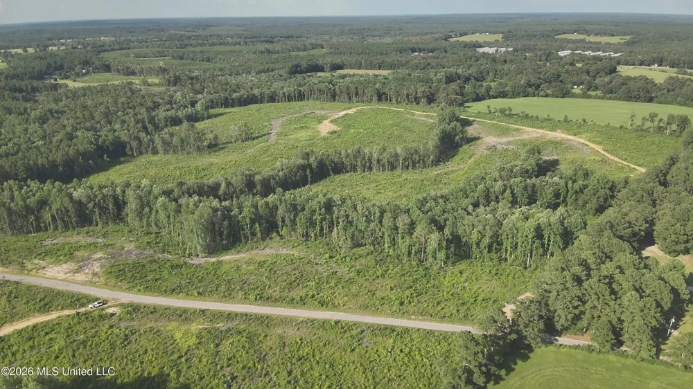 Oscar Bell Road Waynesboro, MS 39367