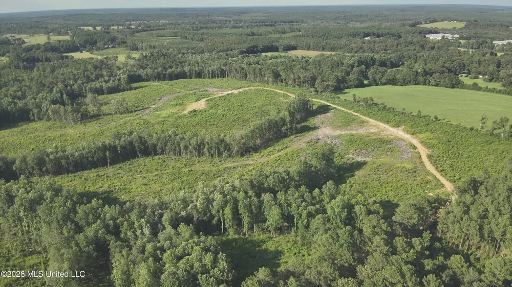 Oscar Bell Road Waynesboro, MS 39367