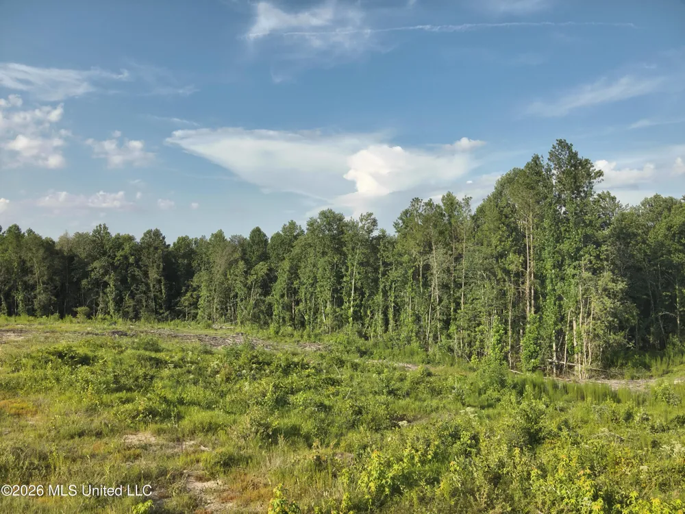 Oscar Bell Road Waynesboro, MS 39367