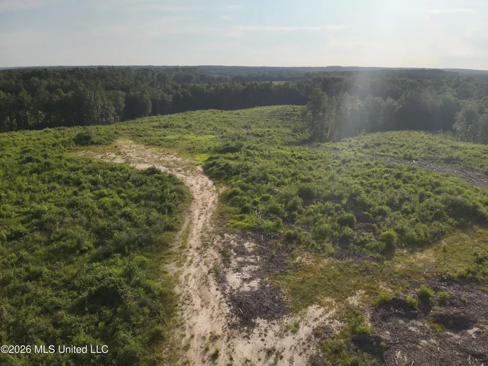 Oscar Bell Road Waynesboro, MS 39367