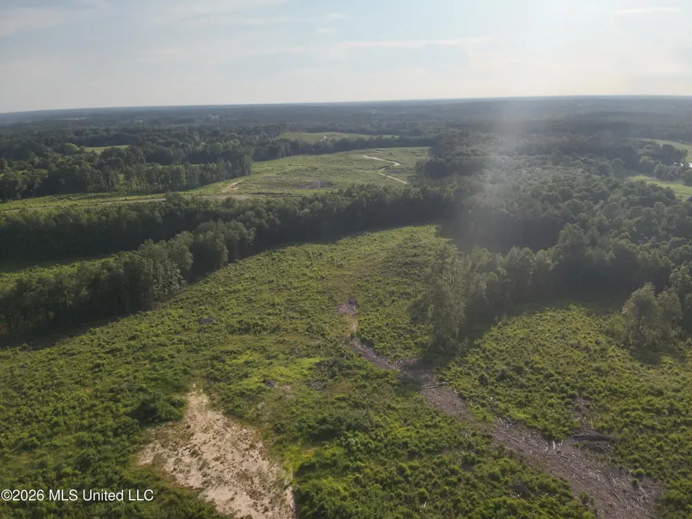 Oscar Bell Road Waynesboro, MS 39367