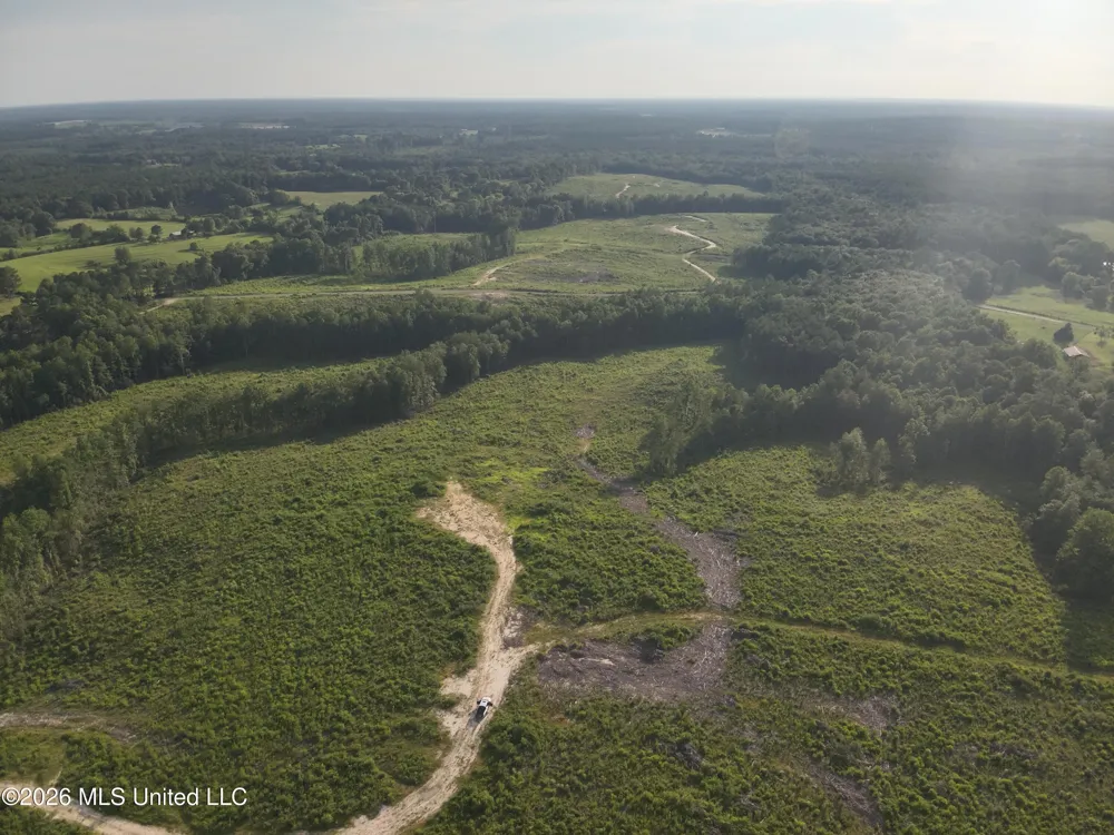 Oscar Bell Road Waynesboro, MS 39367