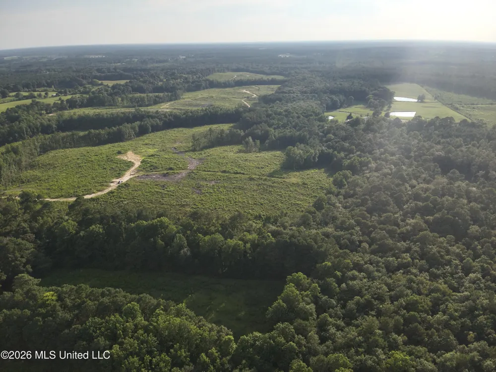 Oscar Bell Road Waynesboro, MS 39367
