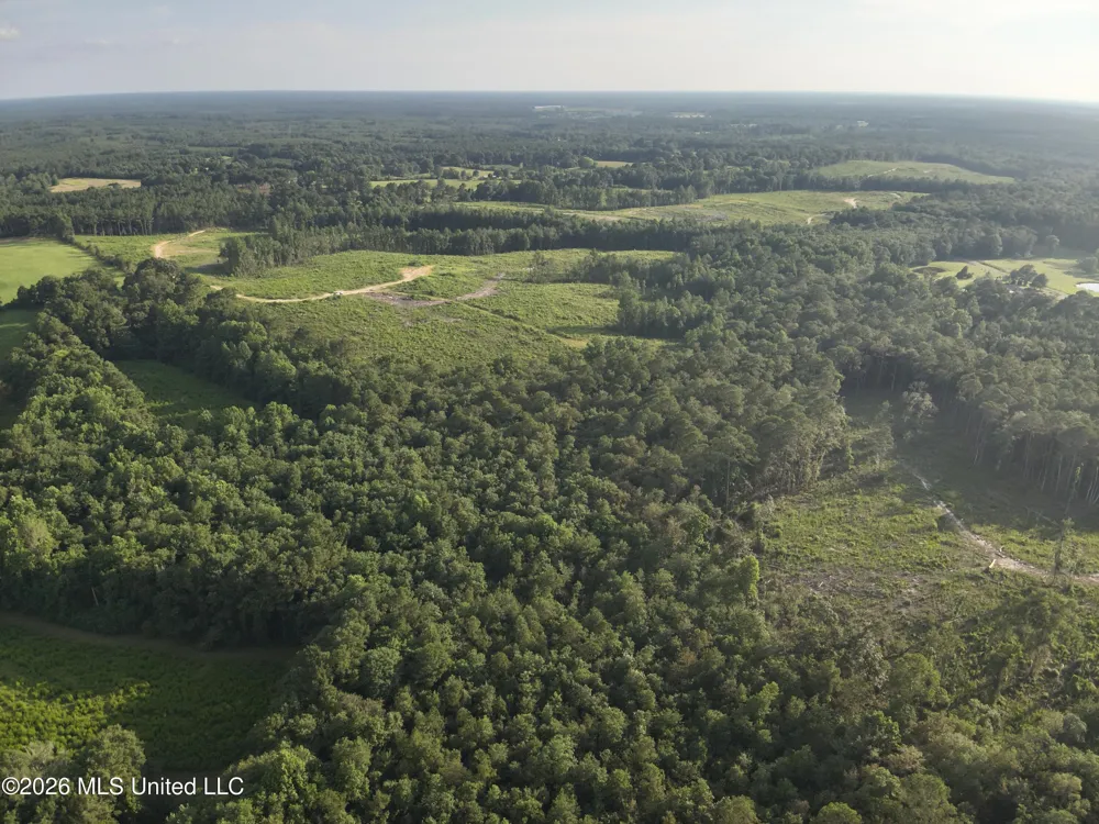 Oscar Bell Road Waynesboro, MS 39367