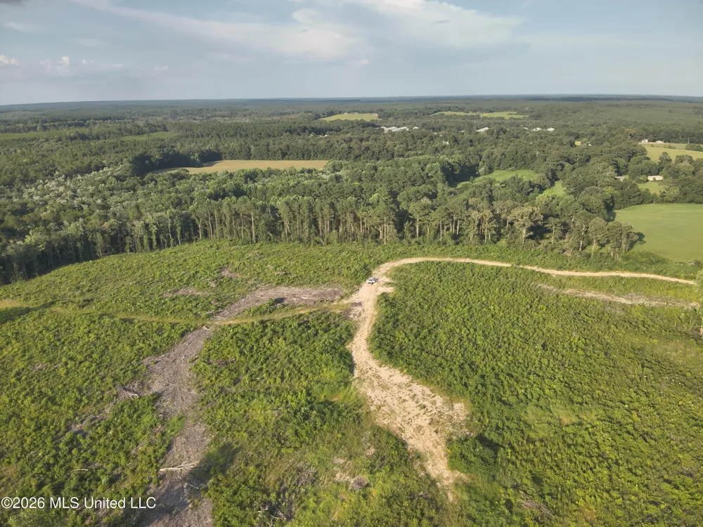 Oscar Bell Road Waynesboro, MS 39367