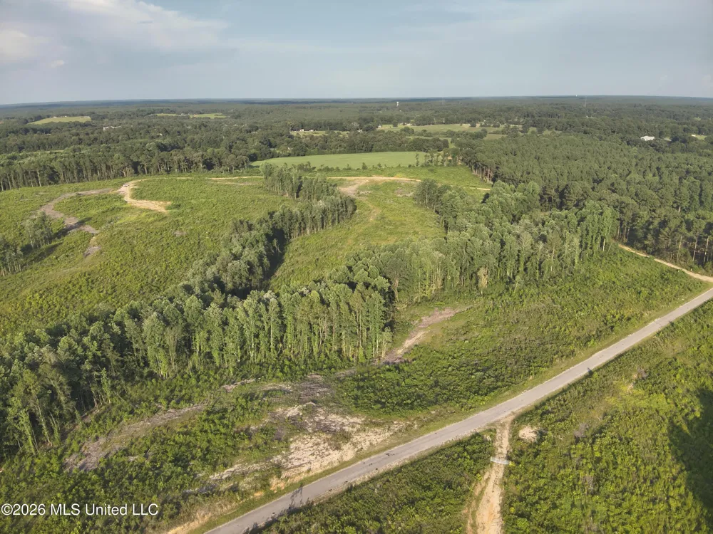 Oscar Bell Road Waynesboro, MS 39367