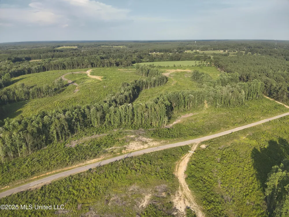 Oscar Bell Road Waynesboro, MS 39367
