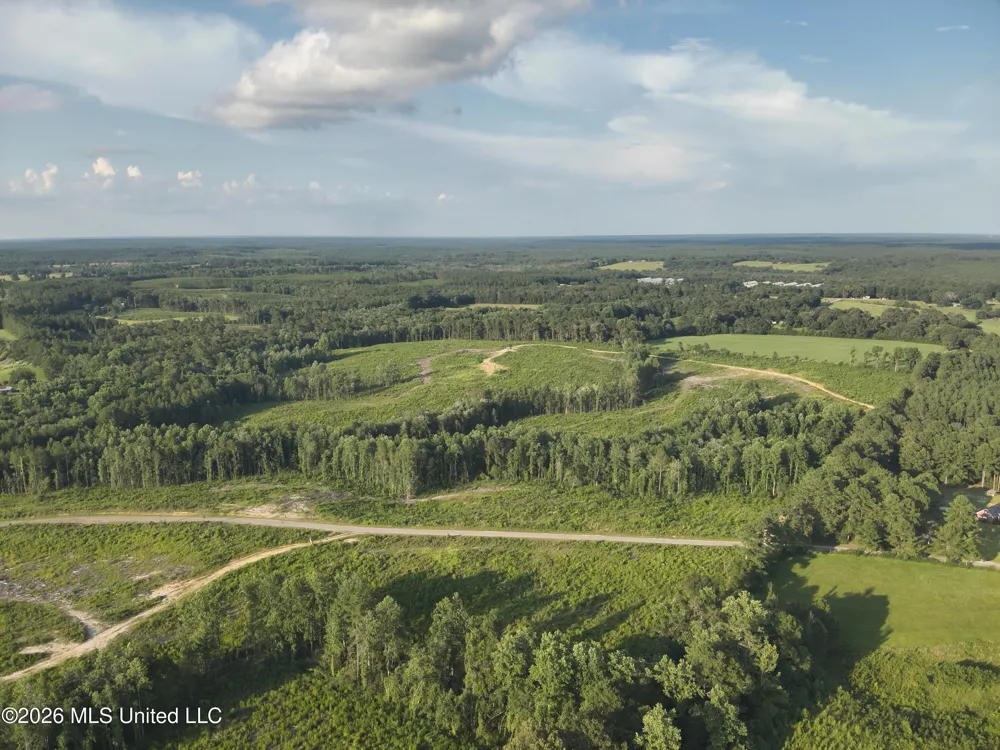 Oscar Bell Road Waynesboro, MS 39367