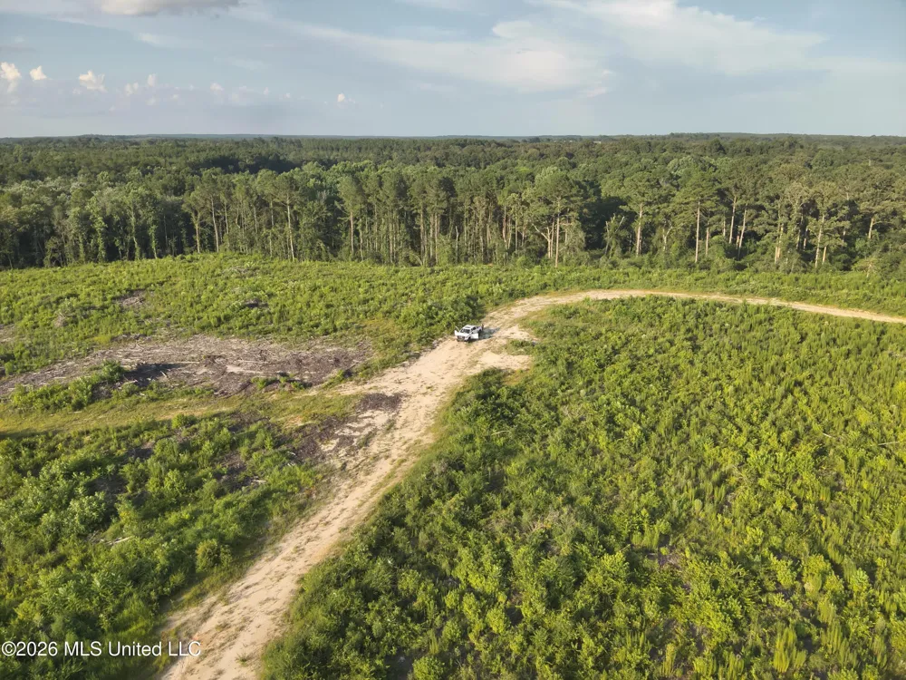 Oscar Bell Road Waynesboro, MS 39367