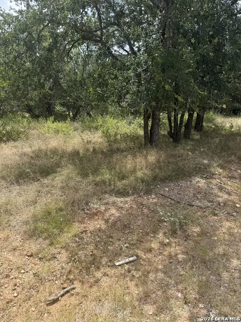 LT 529-530 Maple Ln. Cottonwood Shores, TX 78657
