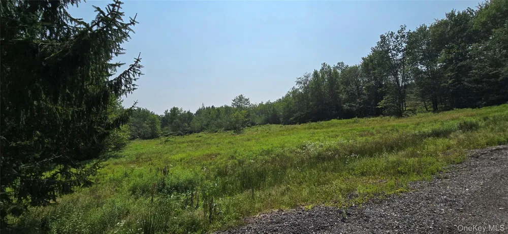 376 Aden Hill Road Neversink, NY 12765