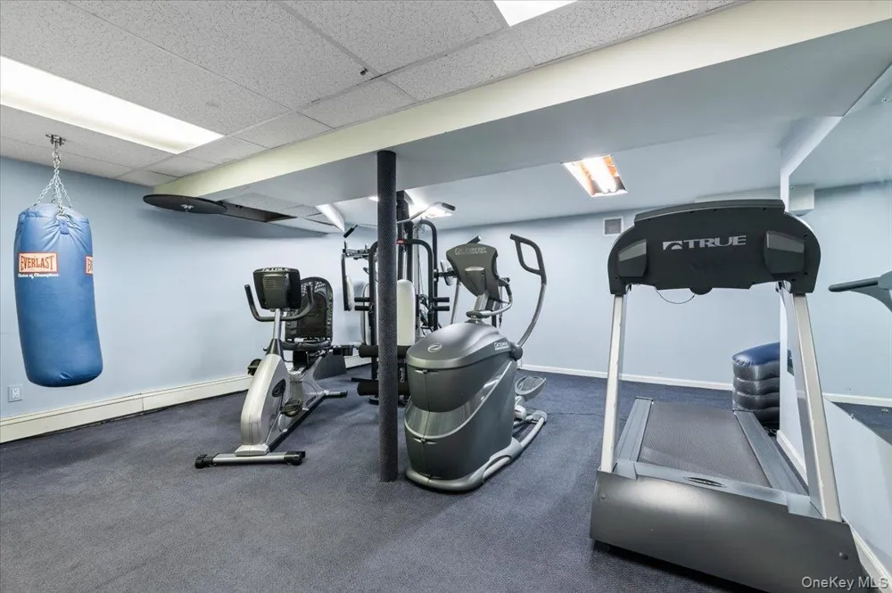 96 Plainview Road Woodbury, NY 11797