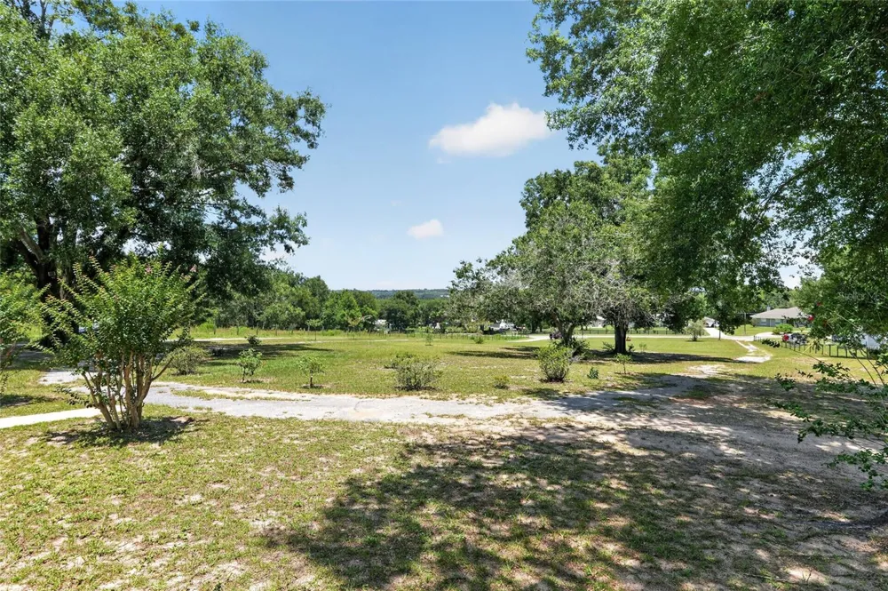3830 GRIFFIN VIEW DRIVE Lady Lake, FL 32159
