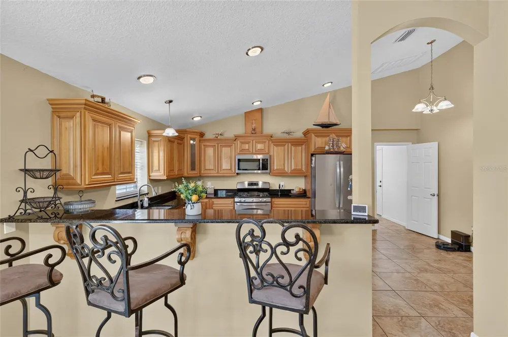 3830 GRIFFIN VIEW DRIVE Lady Lake, FL 32159