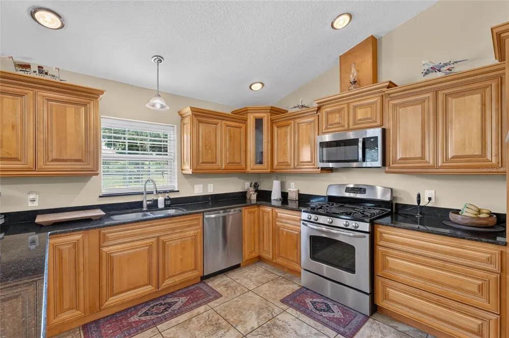 3830 GRIFFIN VIEW DRIVE Lady Lake, FL 32159