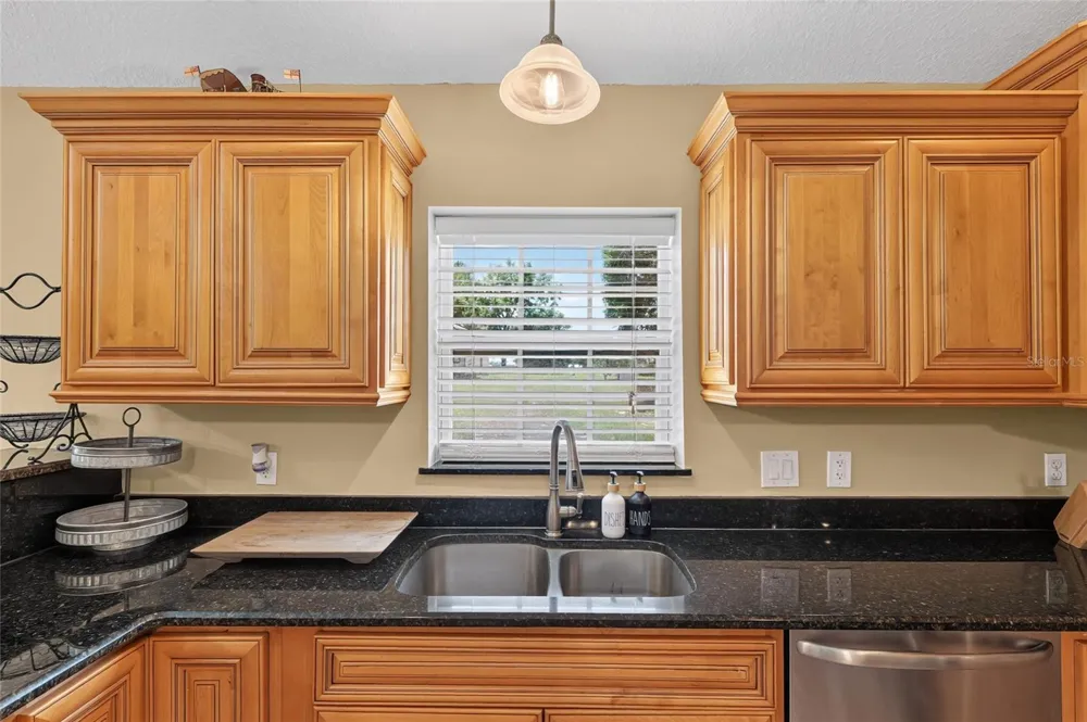 3830 GRIFFIN VIEW DRIVE Lady Lake, FL 32159