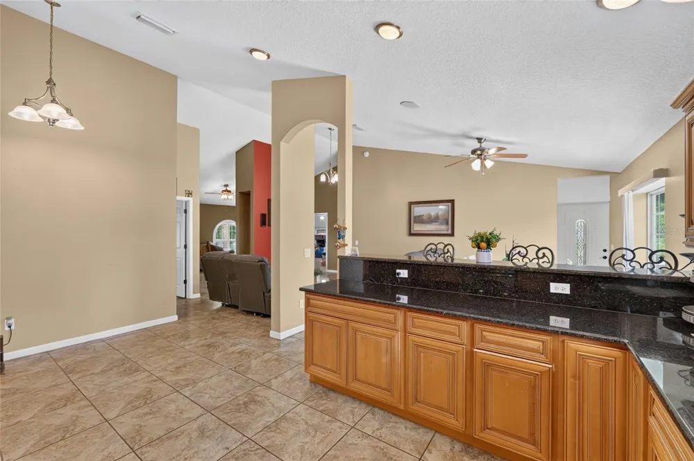 3830 GRIFFIN VIEW DRIVE Lady Lake, FL 32159