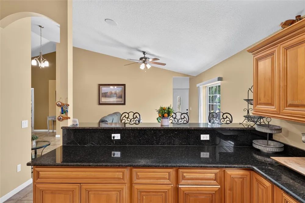 3830 GRIFFIN VIEW DRIVE Lady Lake, FL 32159