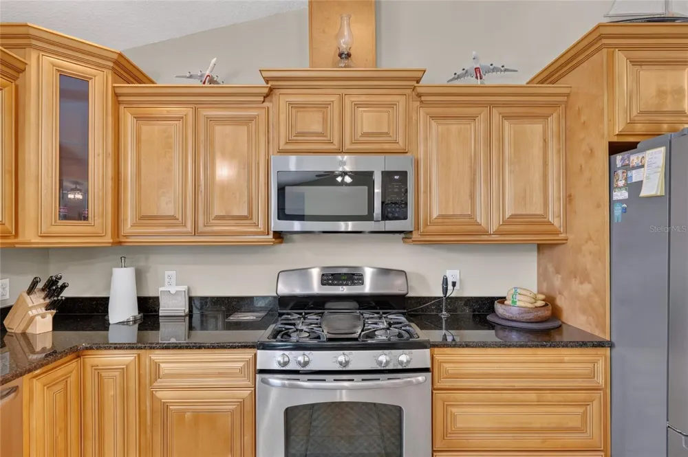 3830 GRIFFIN VIEW DRIVE Lady Lake, FL 32159