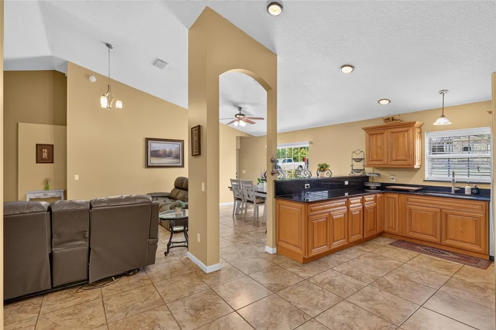 3830 GRIFFIN VIEW DRIVE Lady Lake, FL 32159