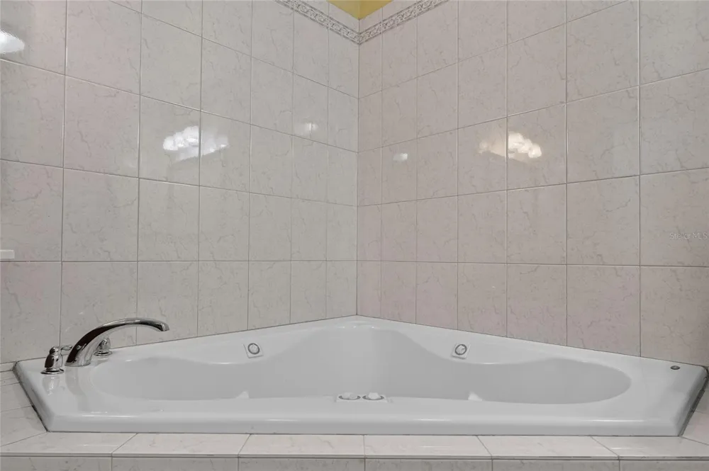 3830 GRIFFIN VIEW DRIVE Lady Lake, FL 32159