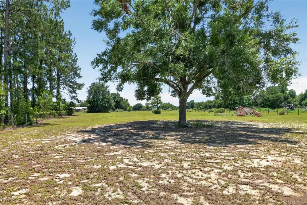 3830 GRIFFIN VIEW DRIVE Lady Lake, FL 32159