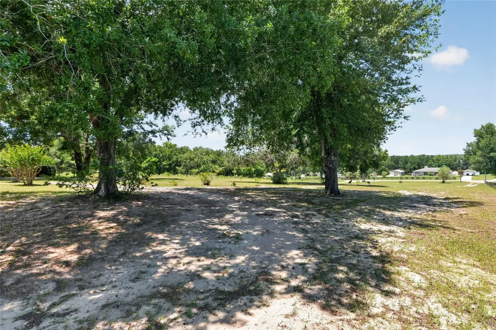 3830 GRIFFIN VIEW DRIVE Lady Lake, FL 32159